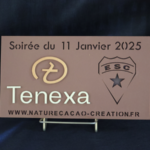plaquette tenexa de handball